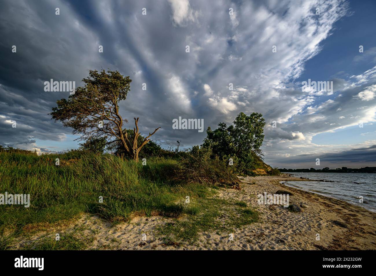 Stralsund: Naturschutzgebiet der Halbinsel Devin bei Stralsund, Ostseeküste, Mecklenburg-Vorpommern Ostseeküste, Mecklenburg-Vorpommern Stockfoto