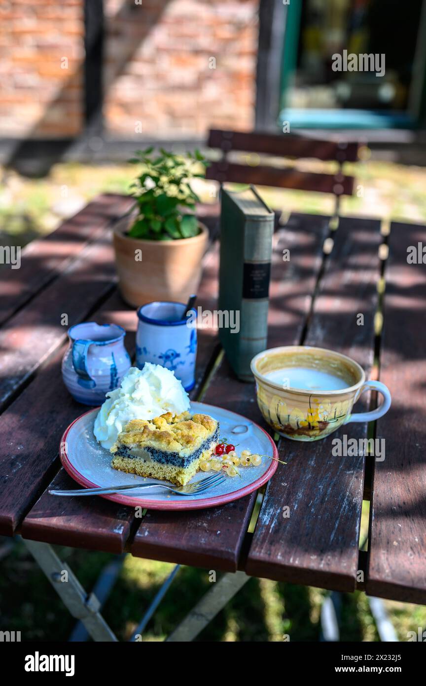 Mohnkuchen im Museumscafé in Gingst, Rügen, Ostseeküste, Mecklenburg-Vorpommern, Deutschland Stockfoto