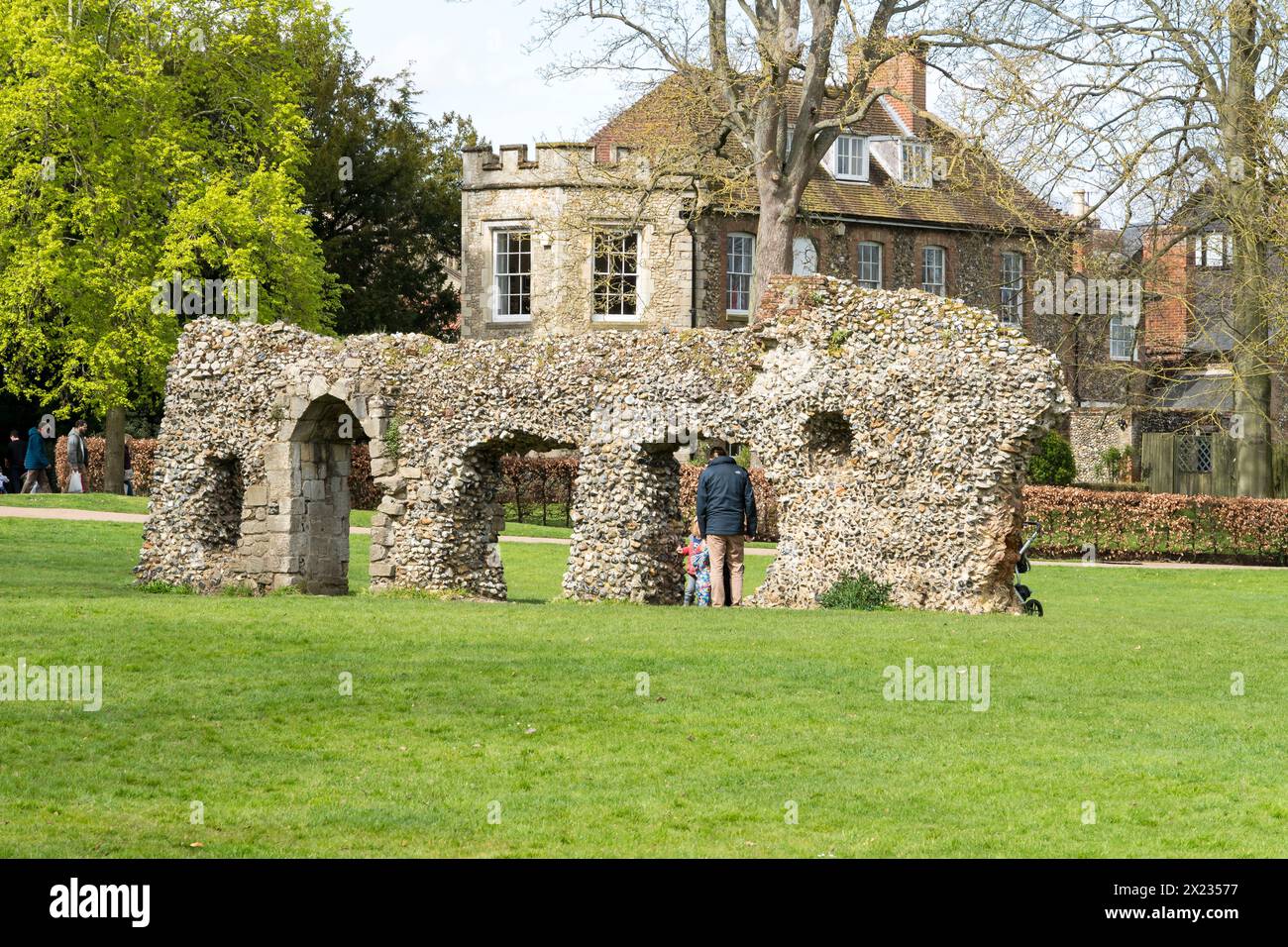 Teilweise Feuersteinmauer von Überresten des Benediktinerklosters, Bury St Edmunds, Suffolk, England, Großbritannien Stockfoto