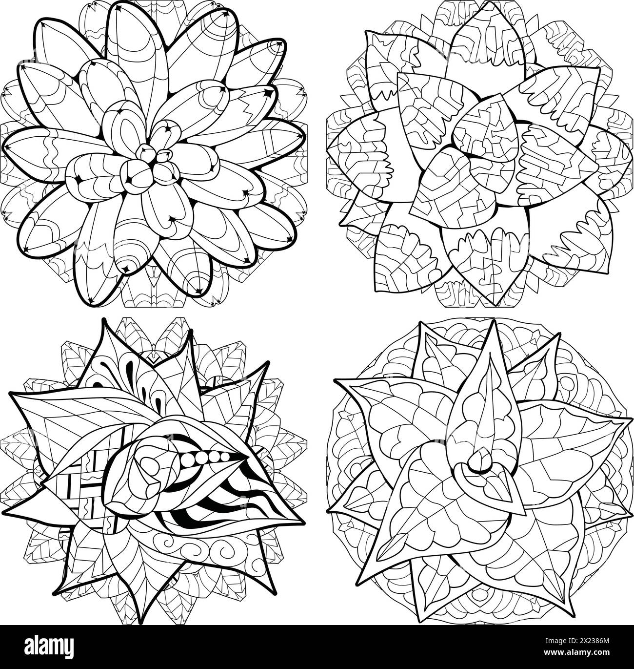 Set von Sukkulenten-Zimmerpflanze auf Mandala zum Färben. Einrichtung im tropischen Dschungel in Druckform. Stock Vektor