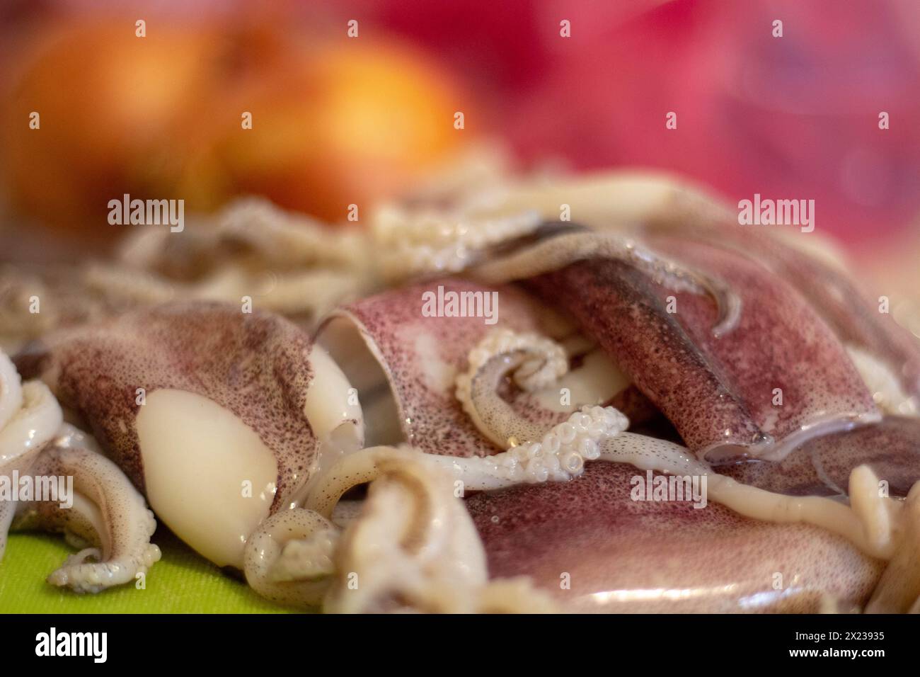 Zubereitung für Paella: Frischer Calamari, bereit zum Zerkleinern Stockfoto
