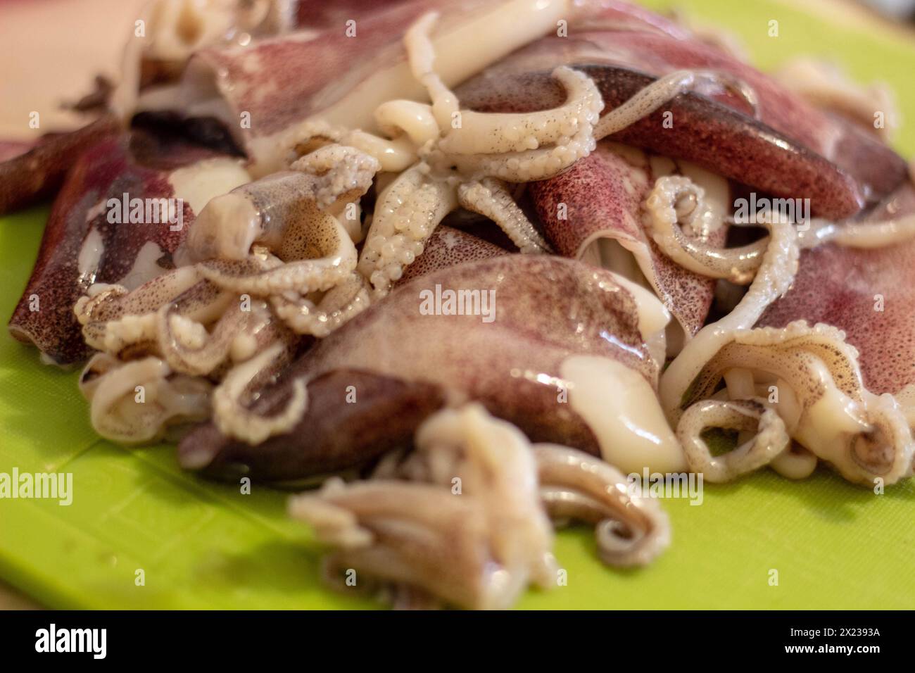 Zubereitung für Paella: Frischer Calamari, bereit zum Zerkleinern Stockfoto