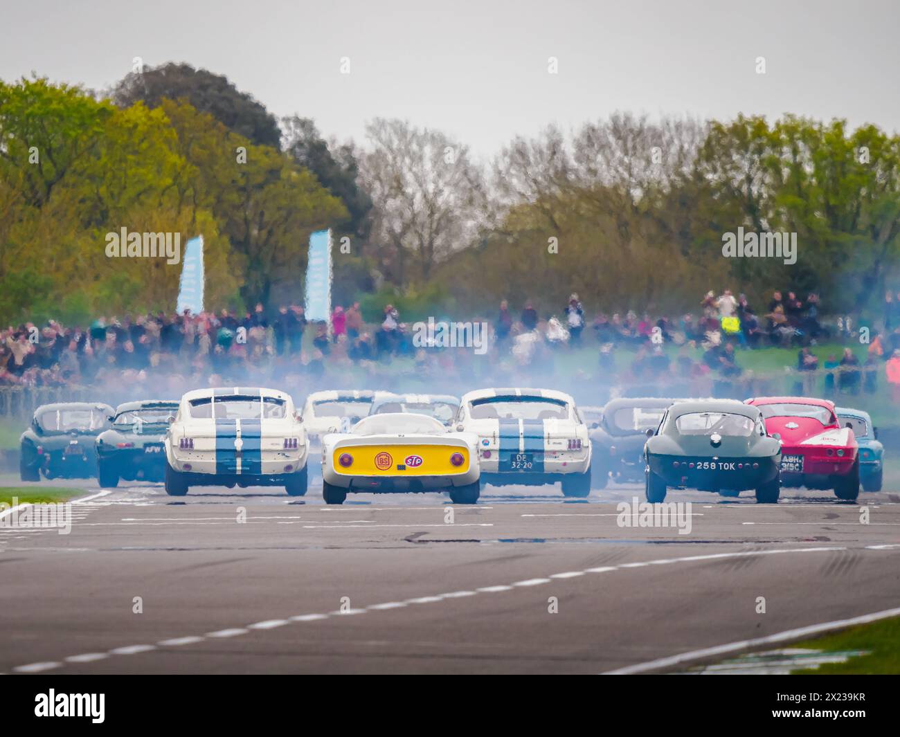 Beginn des Graham Hill Trophy-Rennens, Goodwood-Mitglieder treffen 81 mm Stockfoto