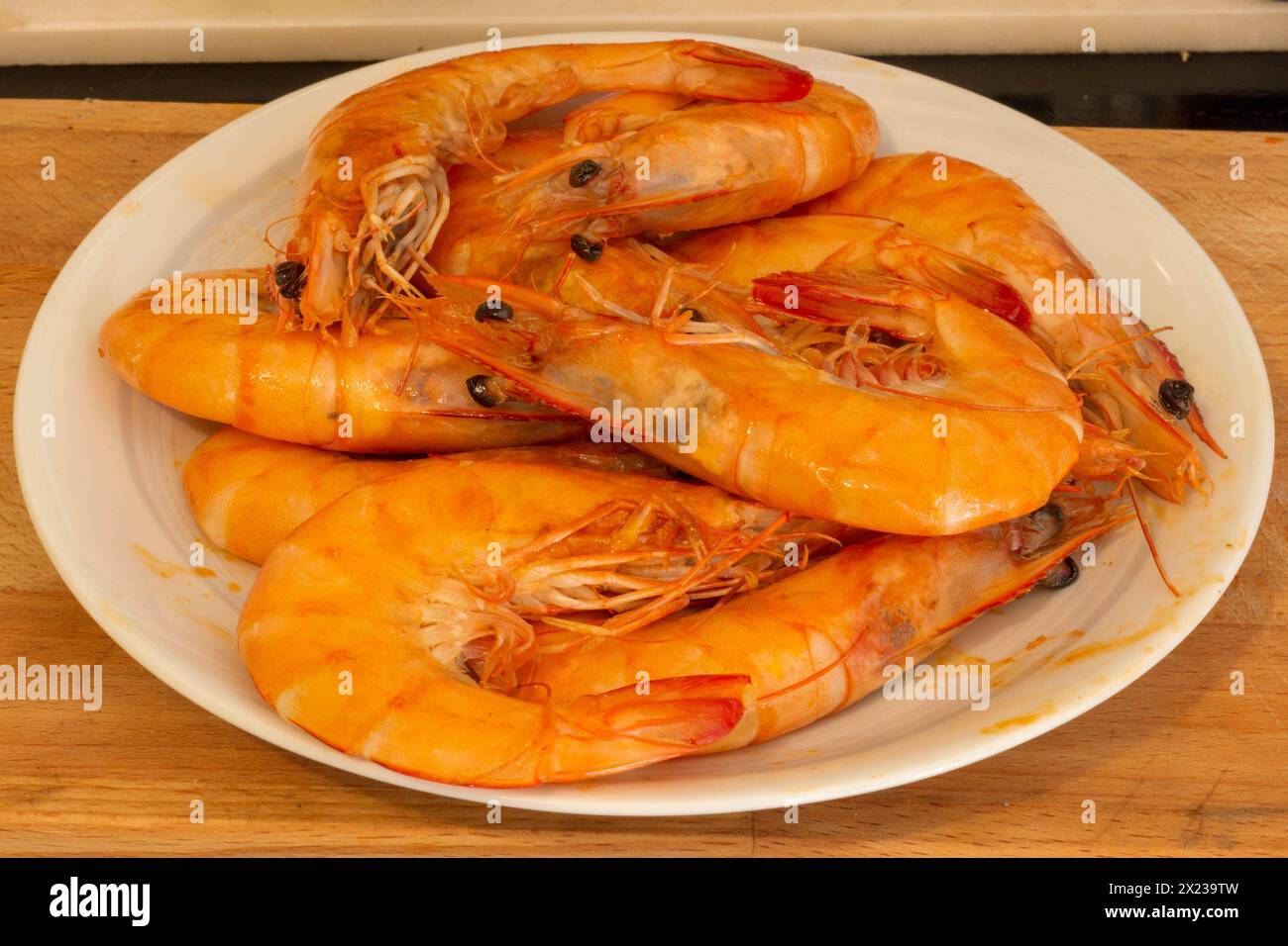 Erleben Sie die Essenz der spanischen Küche mit brausenden Garnelen, einer aromatischen Zutat bei der Herstellung authentischer Paella Stockfoto