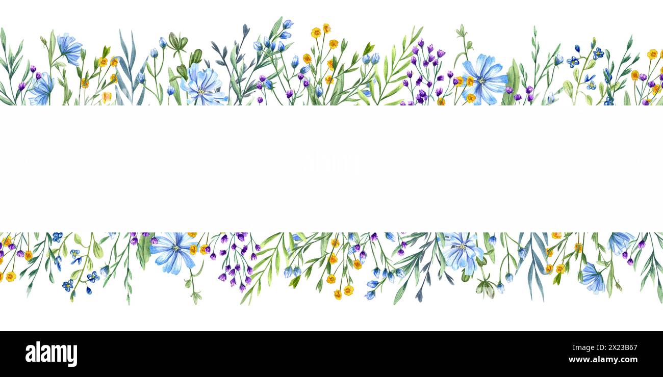 Wiesenblühende Pflanzen. Langer horizontaler Rahmen aus Wildblumen. Gelbe, blaue, lila Blumen und Grün. Kopierbereich für Text. Aquarellabbildung Stockfoto