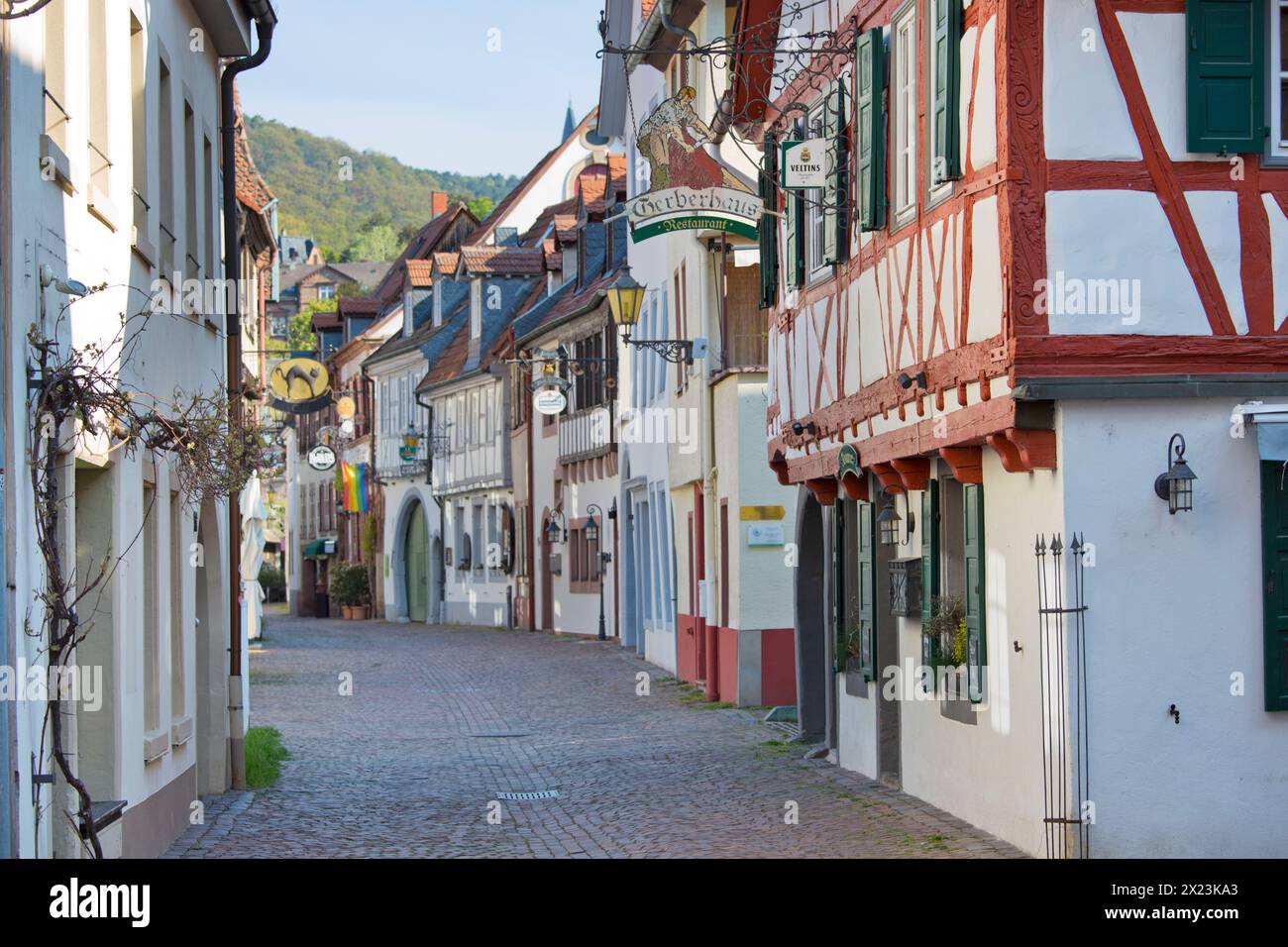 Luxus Plz Neustadt Weinstrasse Fotos