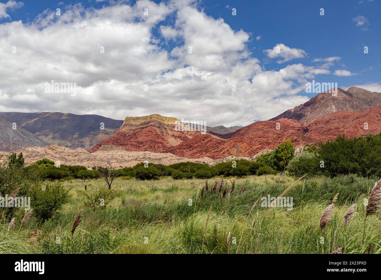 Landschaft in Uquia, Provinz Jujuy, Argentinien. Stockfoto