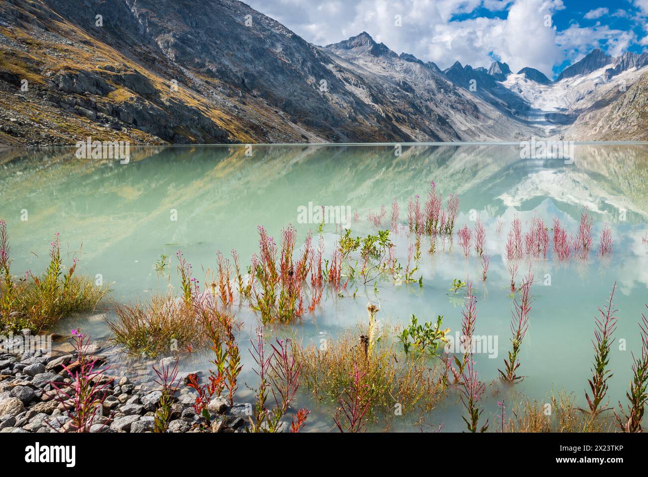 Blick auf den Oberaar-Gletscher; Schweiz, Kanton Bern, Grimsel Stockfoto