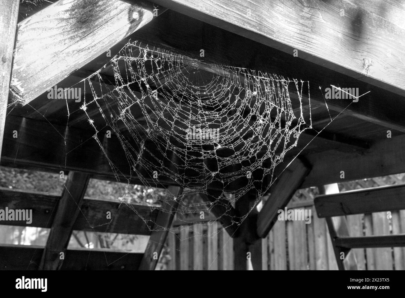 Spinnennetz unter einer Spielplatzstruktur in Schwarz-weiß. Stockfoto