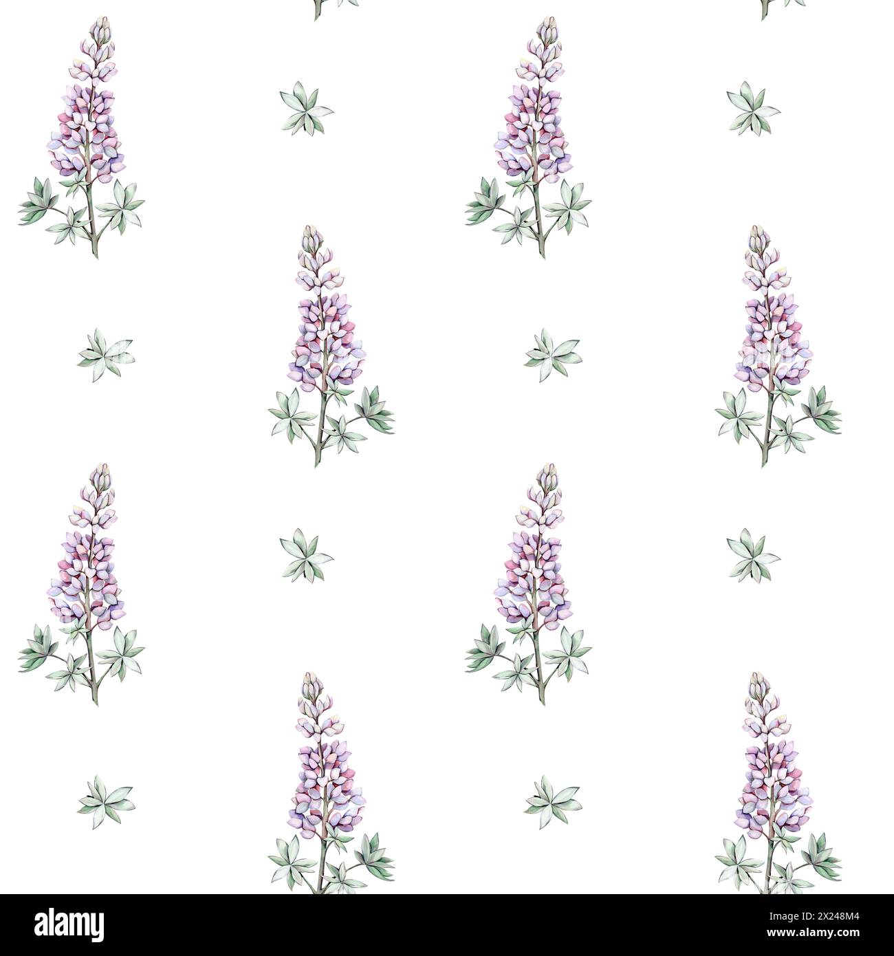 Nahtloses Muster mit Aquarellblumen. Lupinen Stockfoto