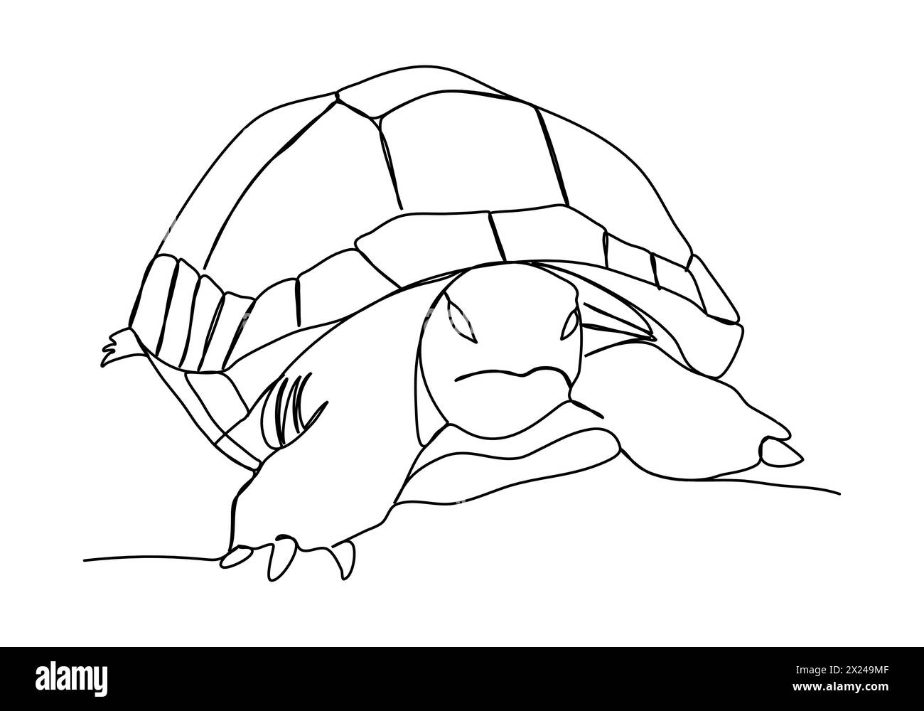 Schildkröte, Vektorillustration für eine Linie. Stock Vektor