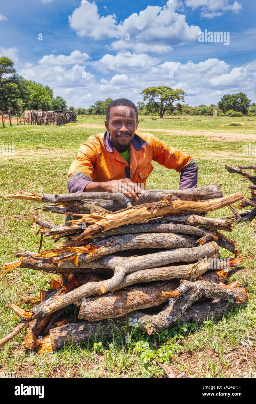 Junger afrikanischer Mann im Dorf verkauft Holz, trägt orange Arbeitskleidung, grünes Feld Stockfoto