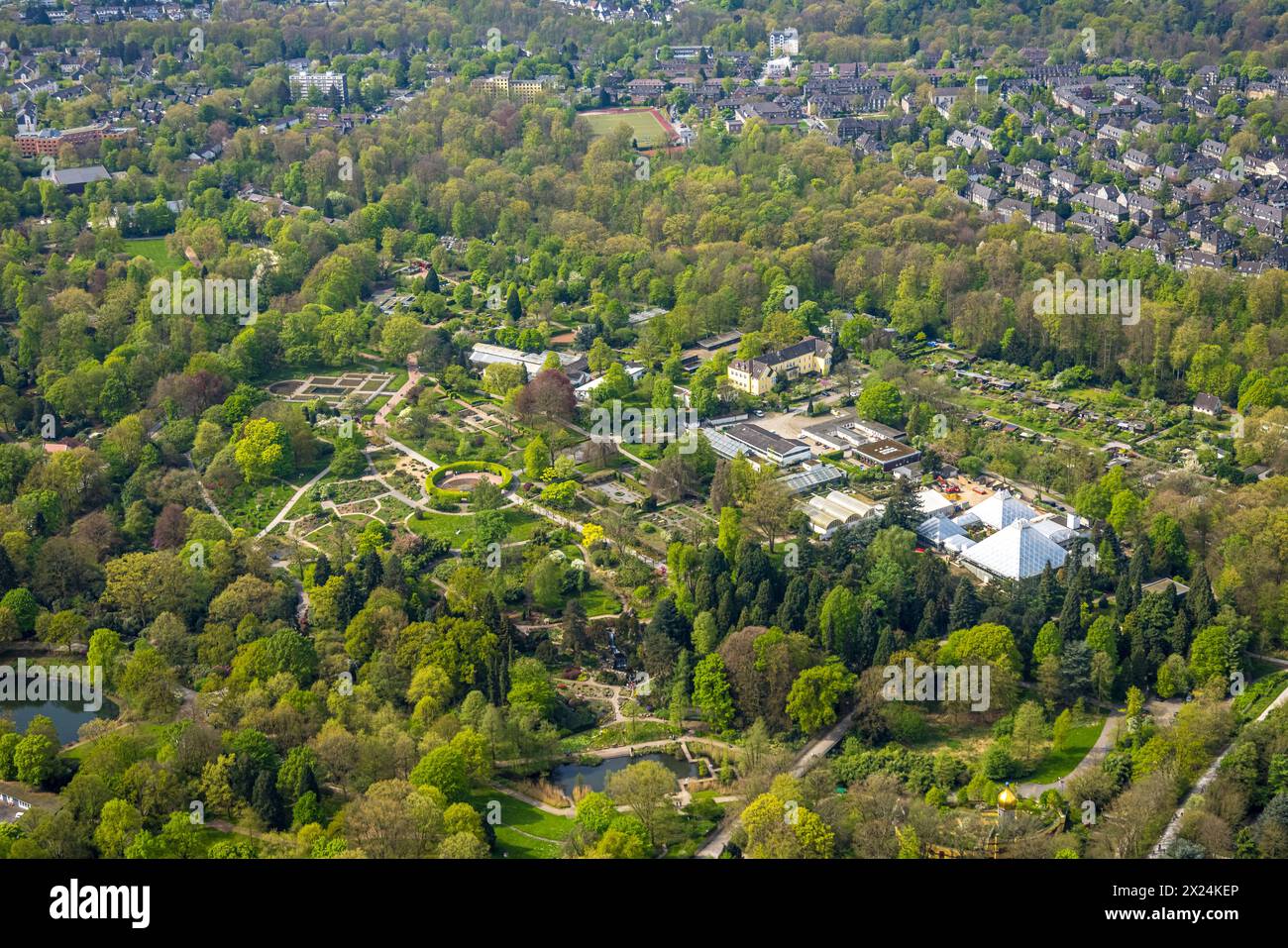 Luftbild, Grugapark, Rundweg Pflanzen der Welt, Speerwerferin im Kreisgarten, Rüttenscheid, Essen, Ruhrgebiet, Nordrhein-Westfalen, Deutschland ACHTUNGxMINDESTHONORARx60xEURO *** Luftaufnahme, Grugapark, Pflanzen des Weltkreisweges, Javelinwerfer im Kreisgarten, Rüttenscheid, Essen, Ruhrgebiet, Nordrhein-Westfalen, Deutschland ATTENTIONxMINDESTHONORARx60xEURO Stockfoto