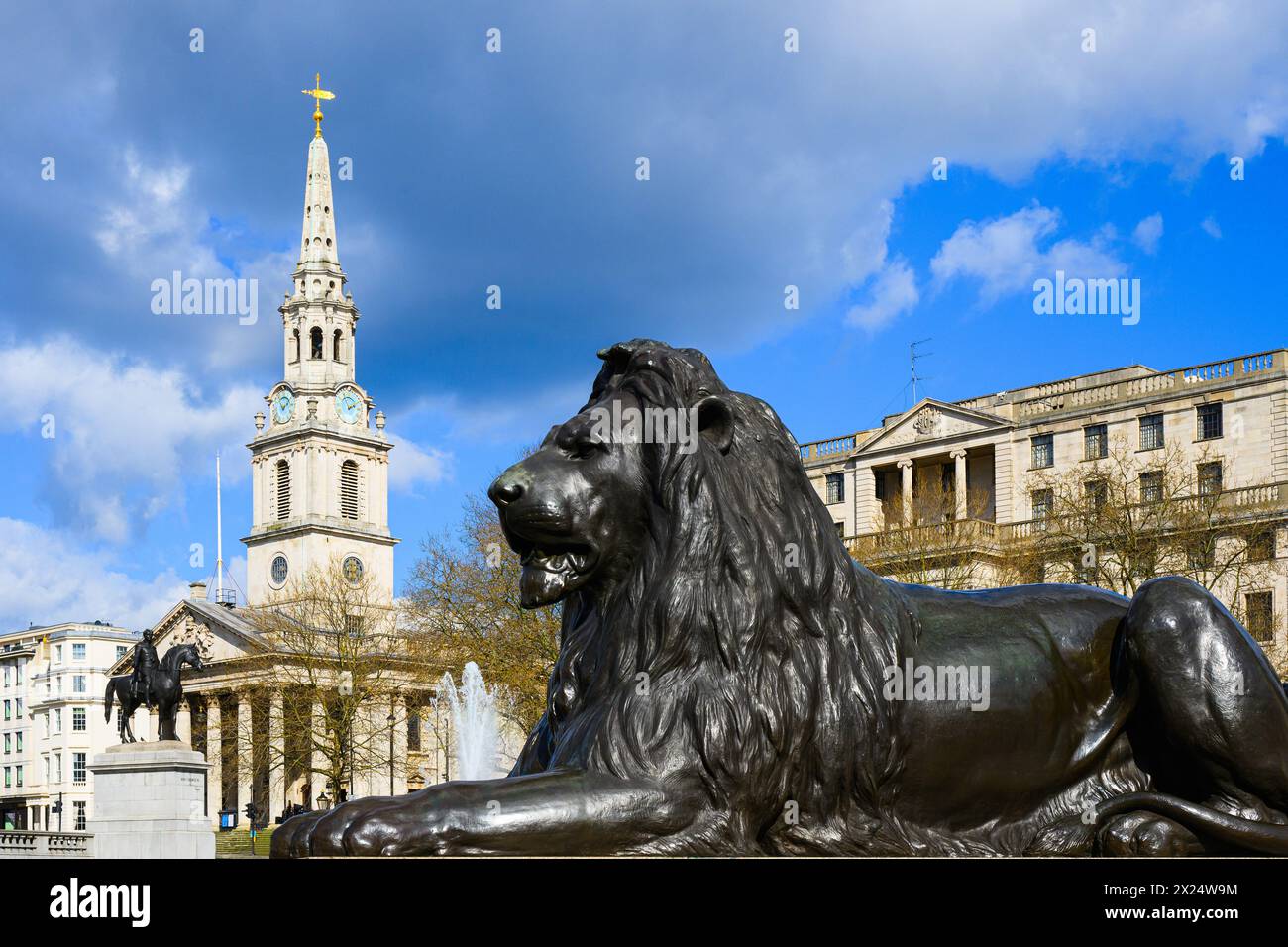 London, Großbritannien - 24. März 2024; Löwe aus Bronze von Sir Edwin Landseer auf dem Trafalgar Square mit Kirchturm Stockfoto