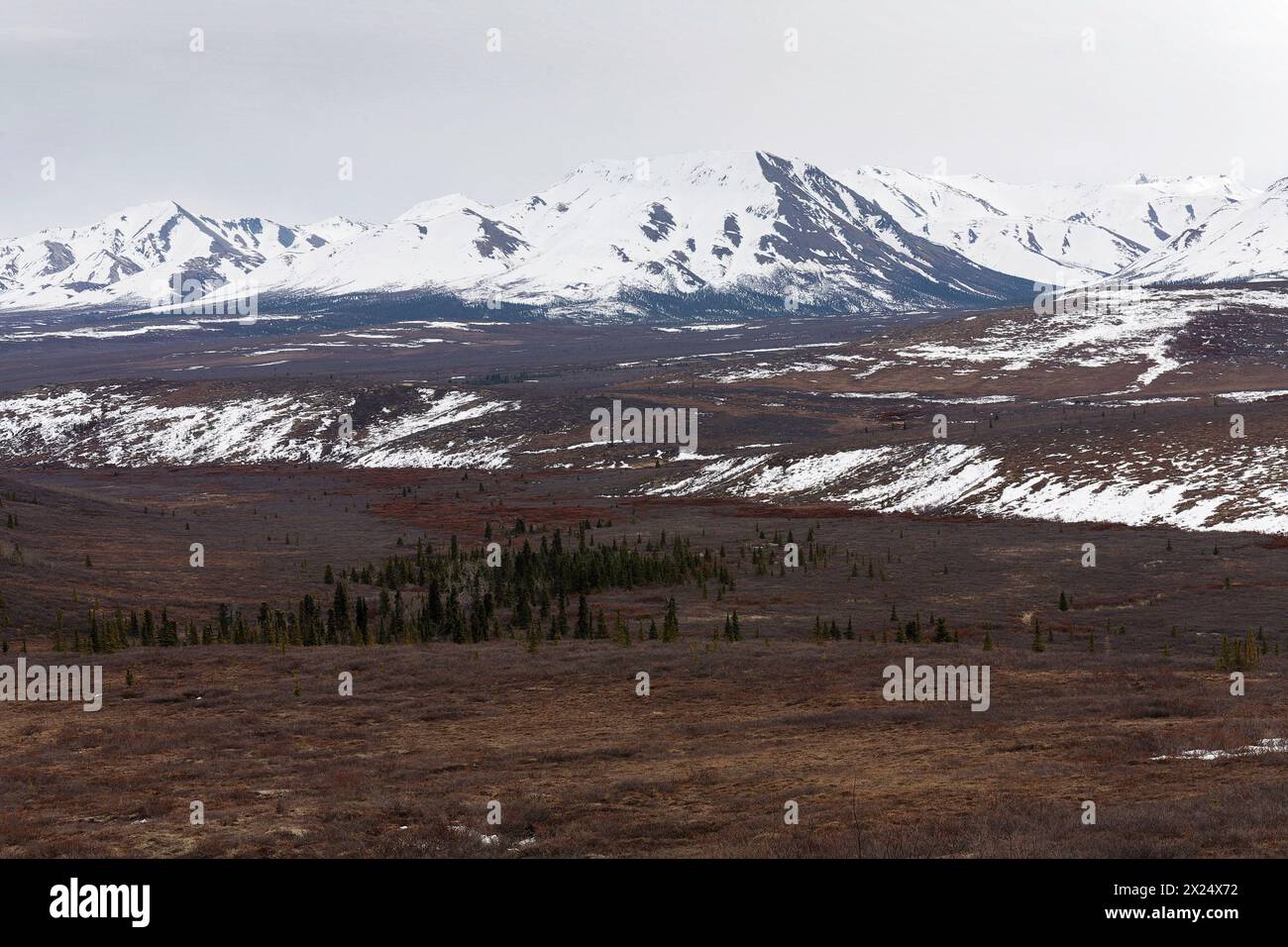 Alaska Stockfoto