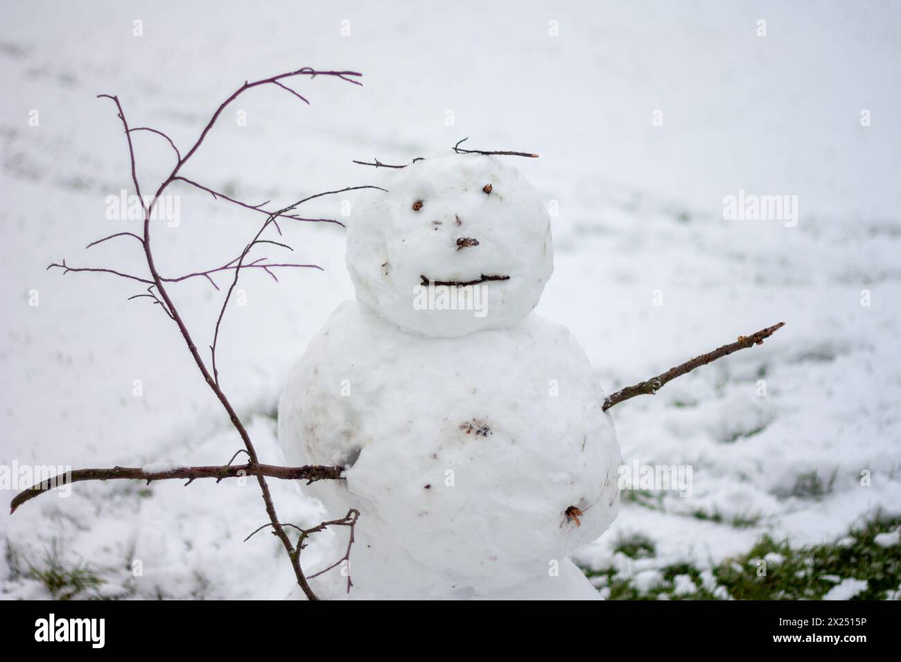 Schneemann steht neben Baum im Schnee Stockfoto