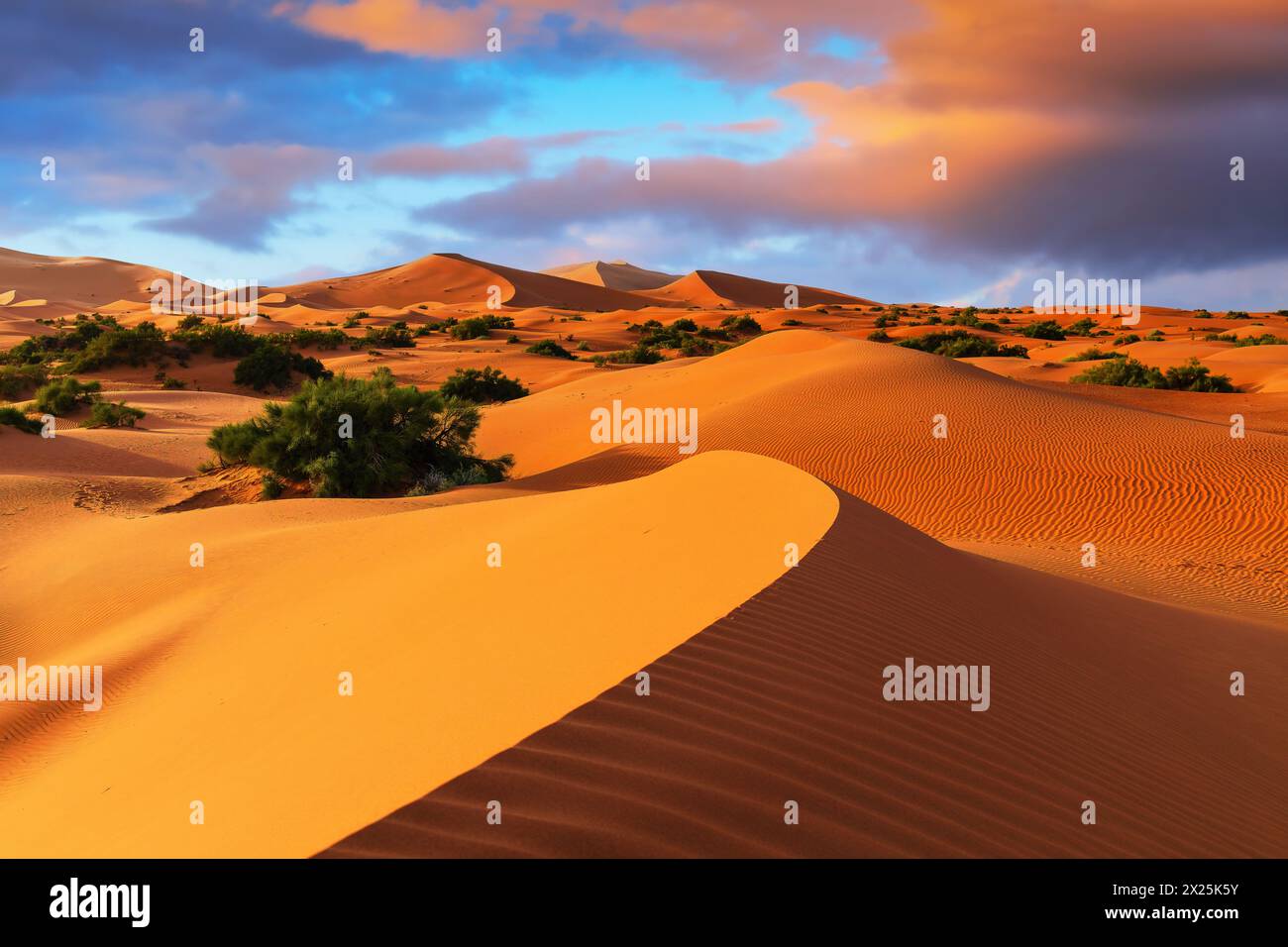 Die Sahara-Wüste, Marokko. Sanddünen Landschaft des Erg Chebbi, Merzouga. Stockfoto