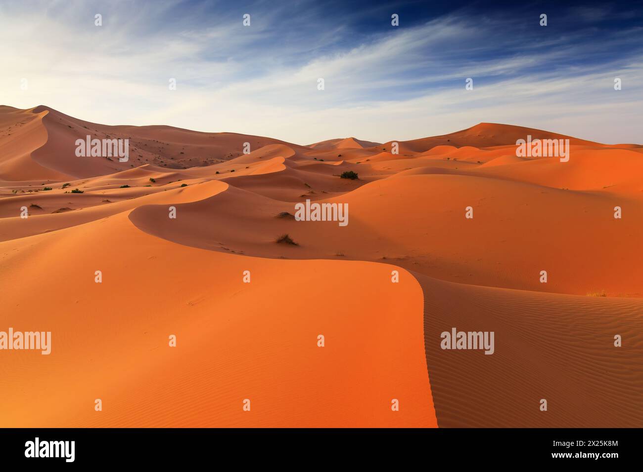 Die Sahara-Wüste, Marokko. Sanddünen Landschaft des Erg Chebbi, Merzouga. Stockfoto