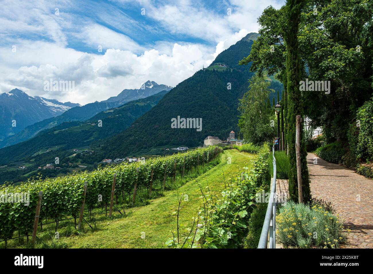 Schloss Tirol vom Dorf Tirol aus gesehen, mittelalterliche Ahnenburg der Grafen von Tirol bei Meran, Burgraviato, Südtirol, Italien. Stockfoto