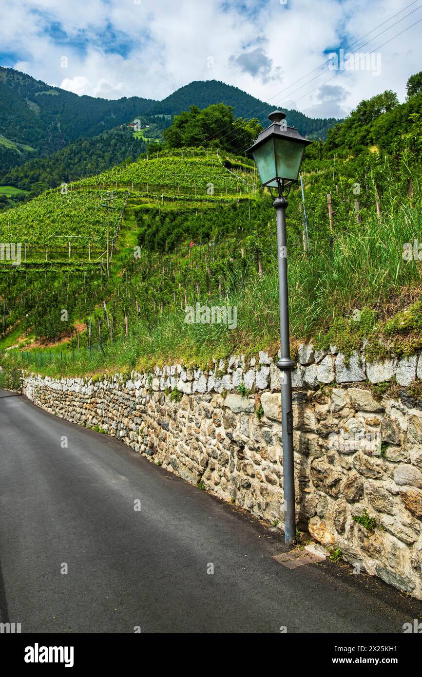 Dorf Tirol, Burggrafenamt, Südtirol, Italien Wanderweg und Straße von Dorf Tirol nach Schloss Tirol, die mittelalterliche Stammburg der Grafen von TIR Stockfoto