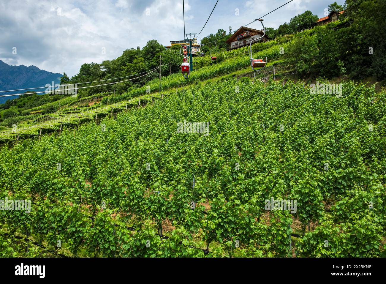 Sessellift Dorf Tirol, Burggrafenamt, Südtirol, Italien der Sessellift nach Dorf Tirol führt über die Weinterrassen von Meran im Burggrafenamt, Südtir Stockfoto
