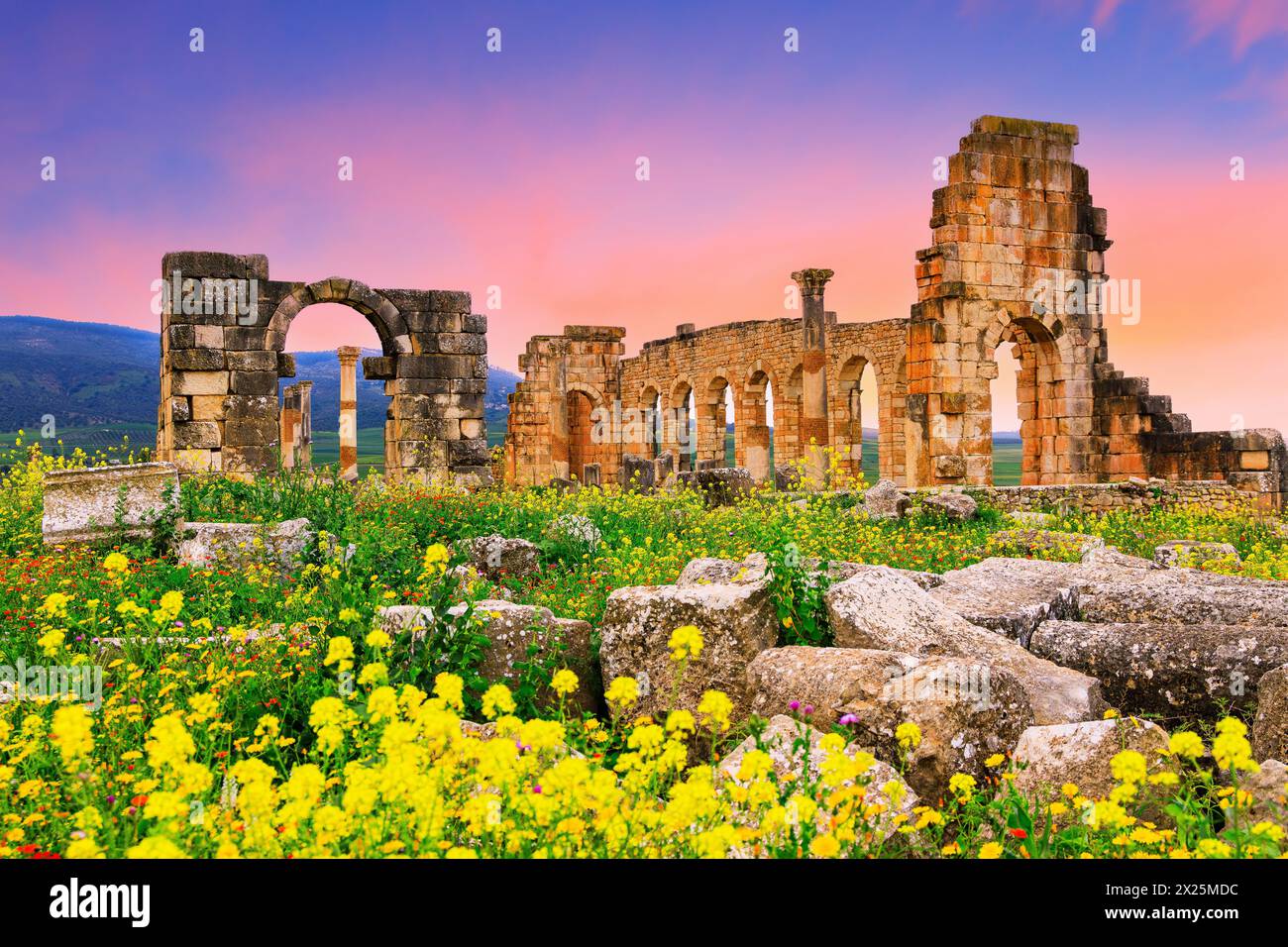 Volubilis, Marokko. Basilika und Kapitolinischen Tempel Stockfoto