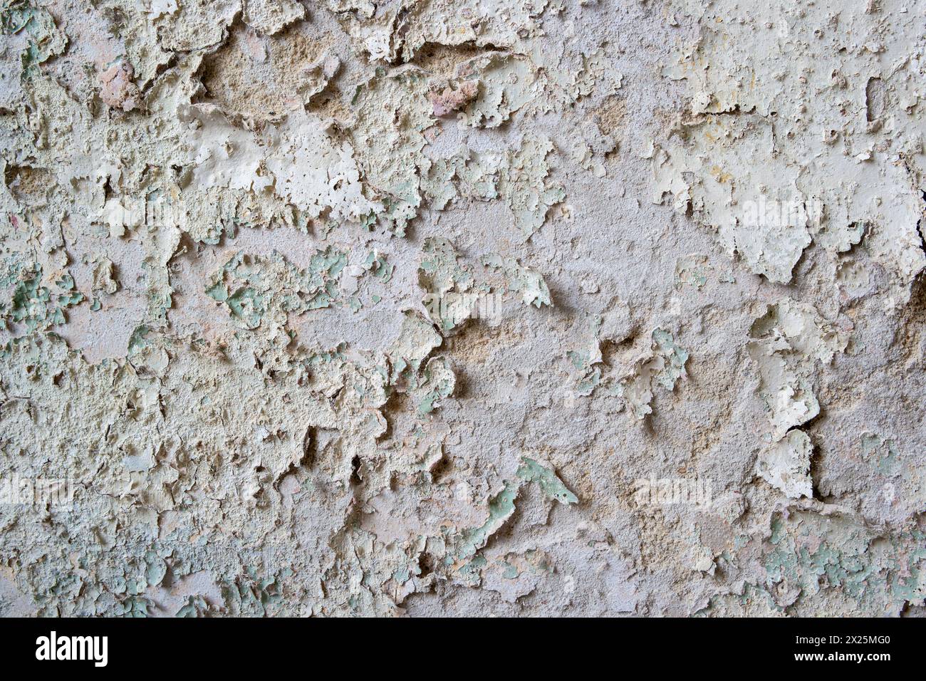 Salpeter an einer Wand in einem Raum, gesundheitsschädlich Stockfoto