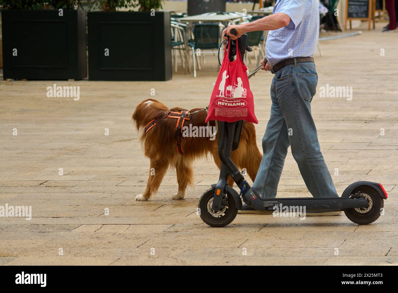Tarragona, Spanien - 20. April 2024: Ein Mann mit roter Tasche geht mit seinem braunen Hund, während er auf einem befestigten Gelände mit einem Elektroroller fährt Stockfoto