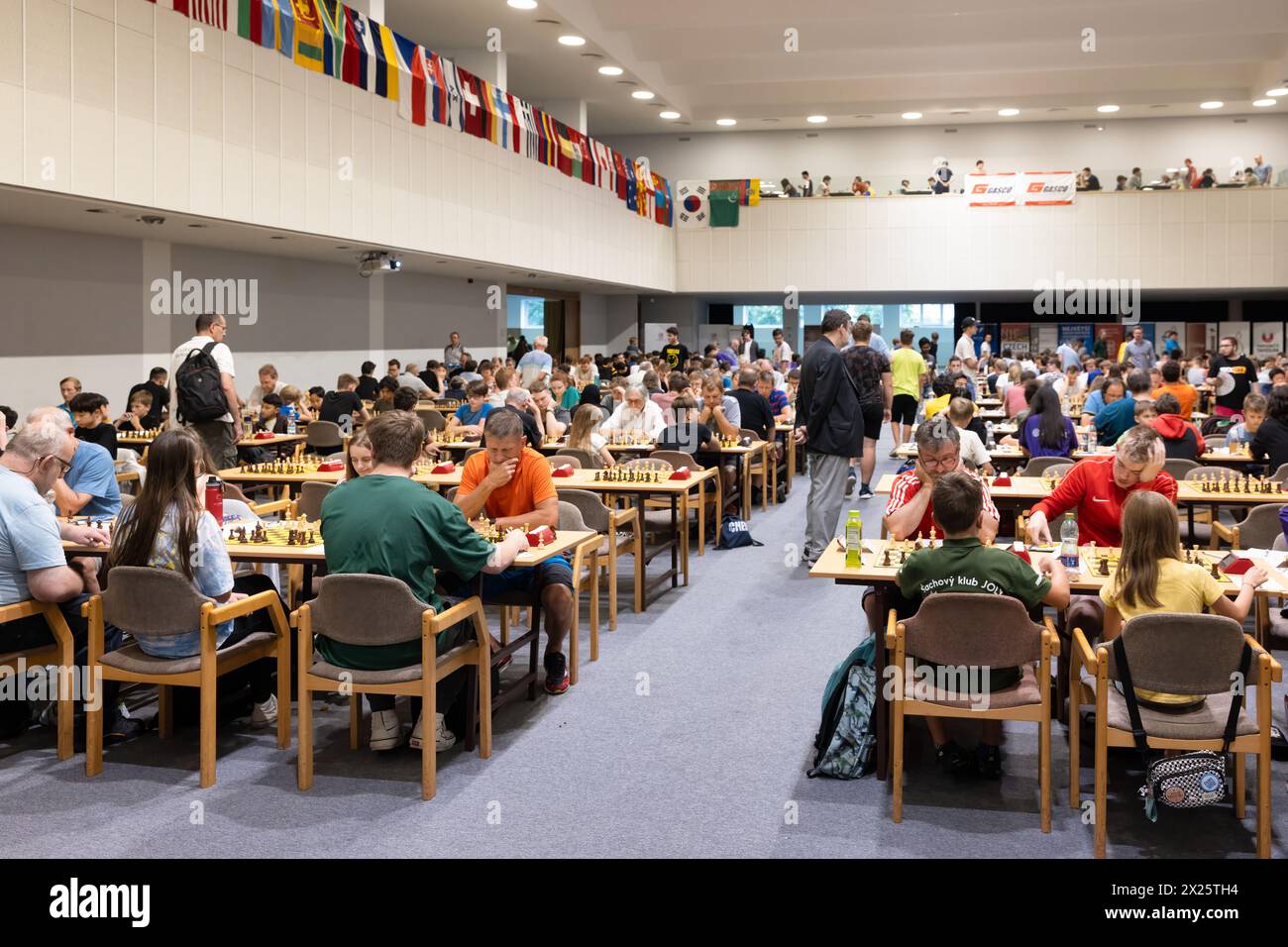 Pardubice, Tschechische Republik - 29. Juli 2024: Spielzimmer mit Schachspielern Tschechisches Open-Chess-Großmeisterturnier Stockfoto