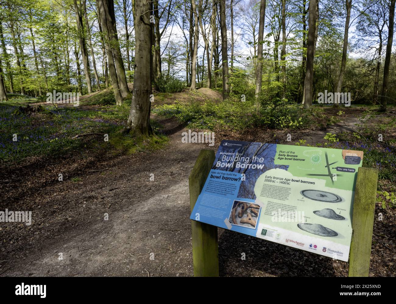 Touristen- und Besucherinformationstafeln und Schilder in Micheldever Wood, Micheldever, Hampshire, England, Großbritannien Stockfoto