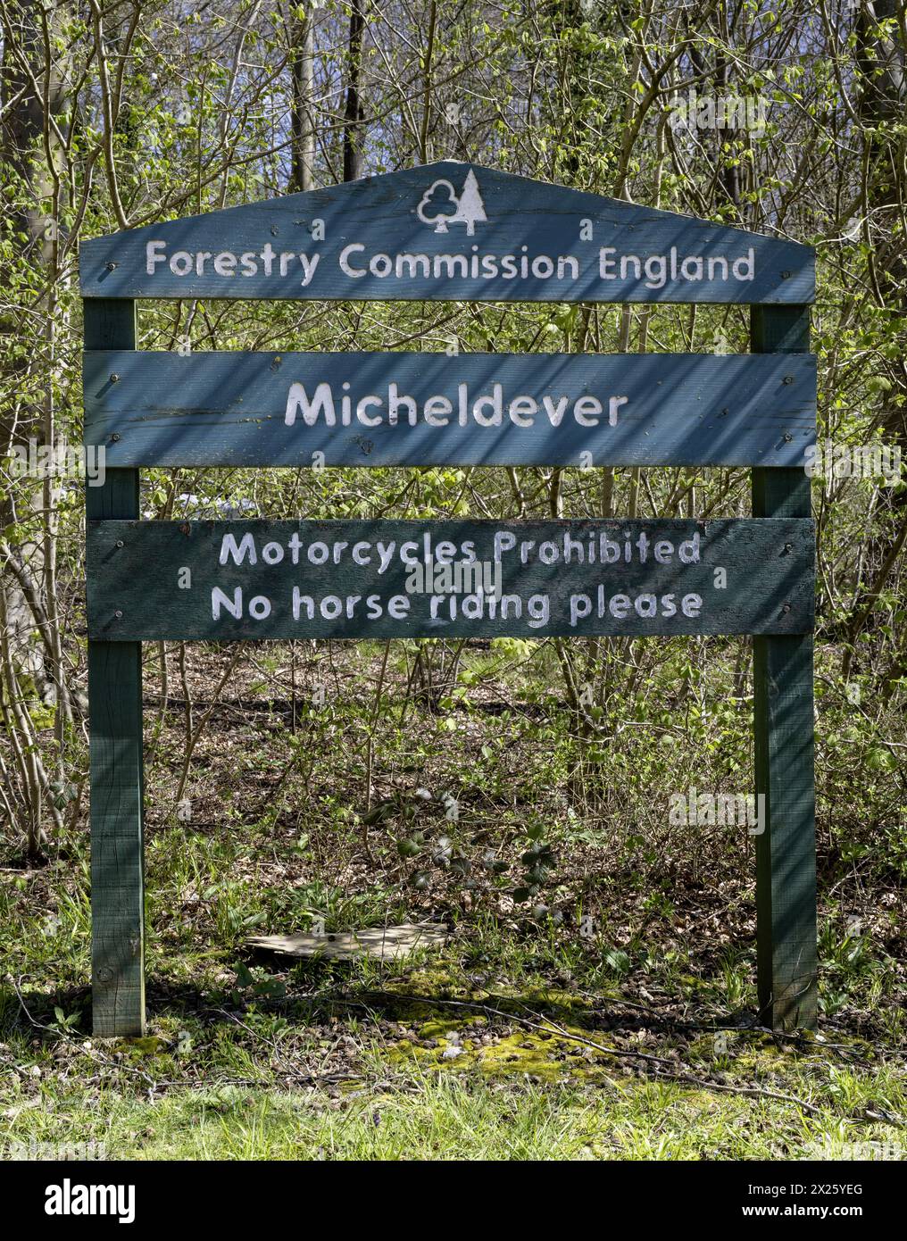 Die Forstkommission England unterschreibt bei Micheldever Wood, Micheldever, Hampshire, England, Vereinigtes Königreich Stockfoto