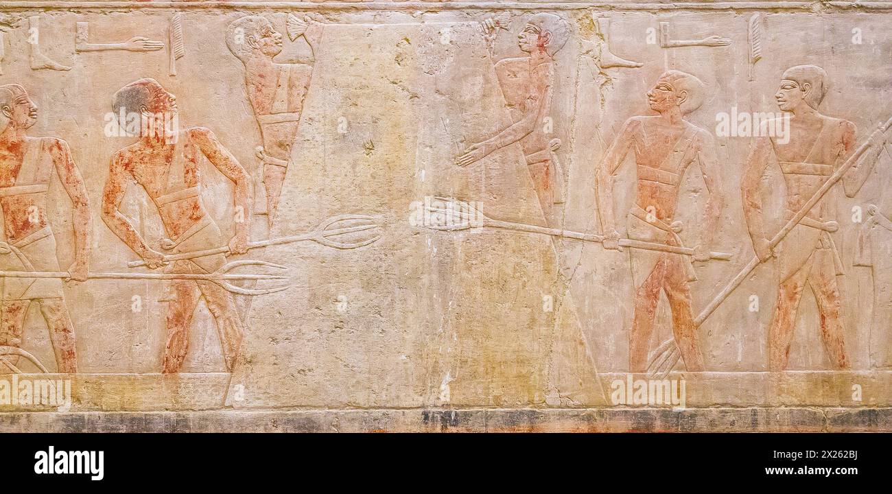 Ägypten, Sakkara, das Grab von Ty, einen Strohstapel bauen und die Spitze mit Papyrus binden. Stockfoto