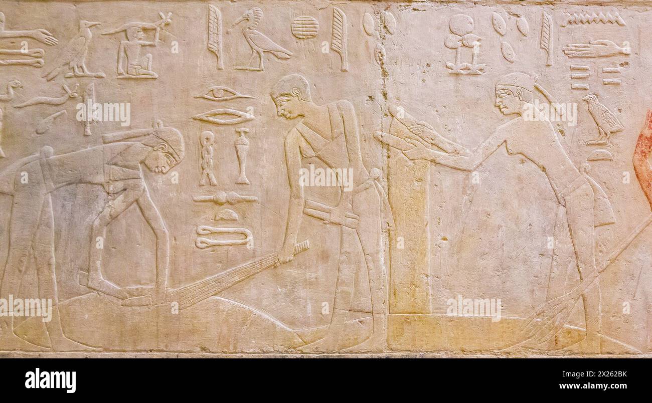 Ägypten, Sakkara, das Grab von Ty, die Getreidekörner reinigen. Stockfoto