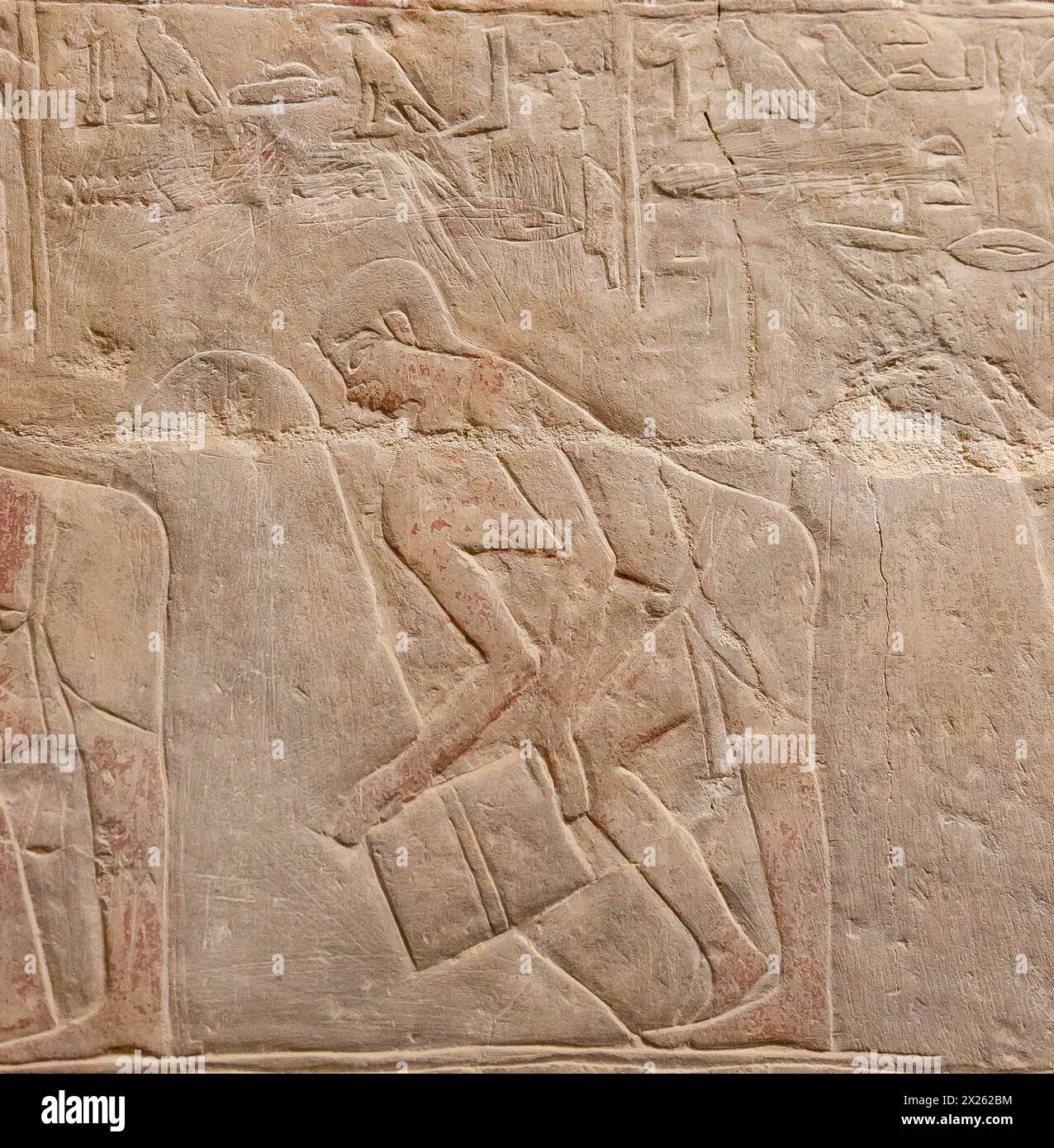 Ägypten, Sakkara, das Grab von Mereruka, Getreidekörner einsammeln. Stockfoto