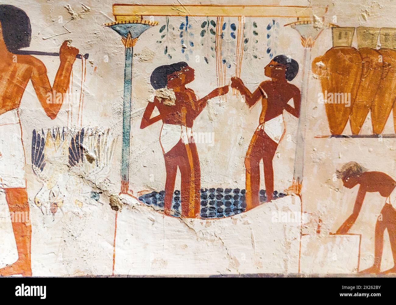 Luxor in Ägypten, Tal der Adligen, Grab von Nakht. Raspeln von Trauben. Stockfoto