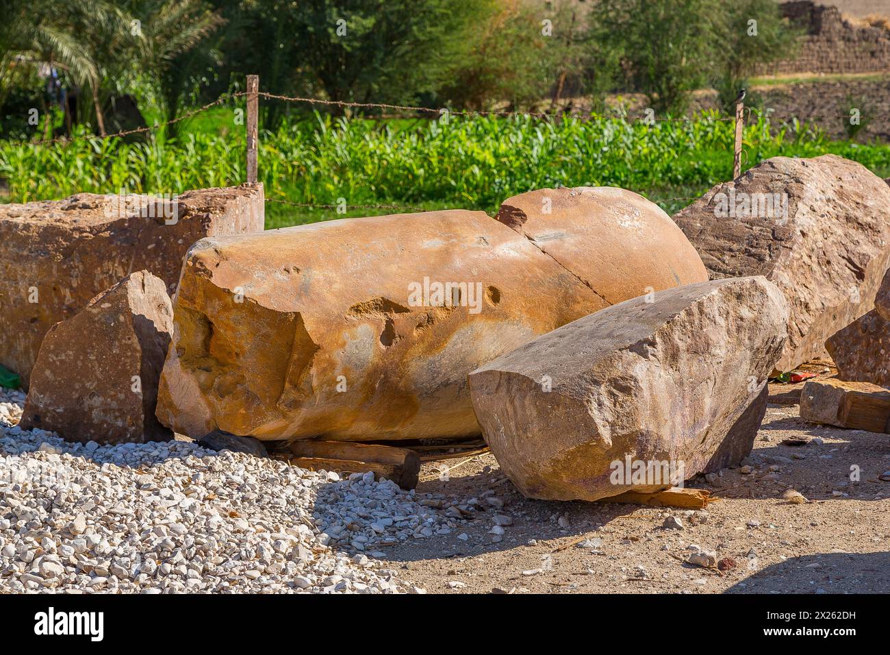 Ägypten, Luxor West Bank, KOM el Hettan, der millionenjährige Tempel von Amenhotep 3 : Wiederentdeckung von 2 Kolossen am Nordtor (Foto 2012). Stockfoto
