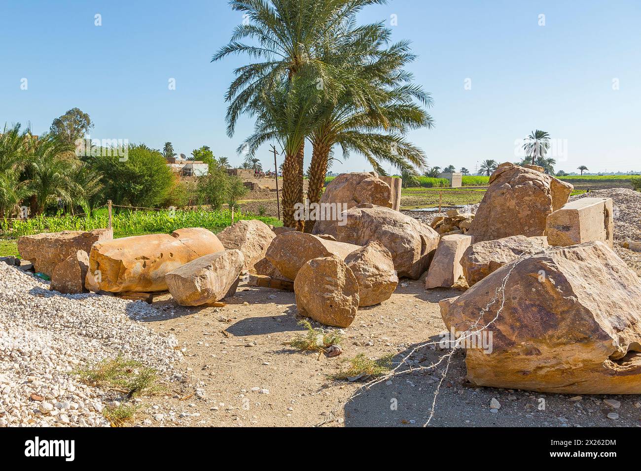 Ägypten, Luxor West Bank, KOM el Hettan, der millionenjährige Tempel von Amenhotep 3 : Wiederentdeckung von 2 Kolossen am Nordtor (Foto 2012). Stockfoto