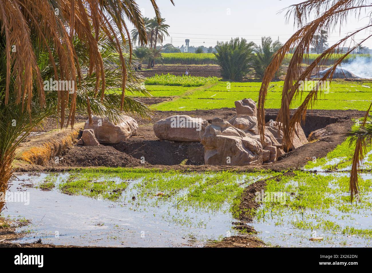 Ägypten, Luxor West Bank, KOM el Hettan, der millionenjährige Tempel von Amenhotep 3 : Wiederentdeckung von 2 Kolossen am Nordtor (Foto 2012). Stockfoto