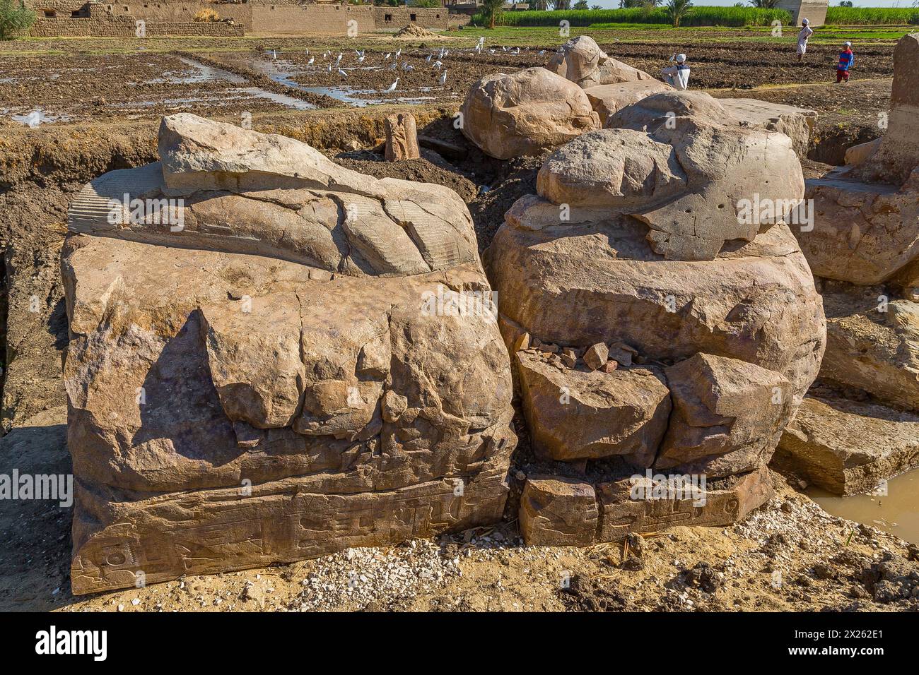 Ägypten, Luxor West Bank, KOM el Hettan, der millionenjährige Tempel von Amenhotep 3 : Wiederentdeckung von 2 Kolossen am Nordtor (Foto 2012). Stockfoto