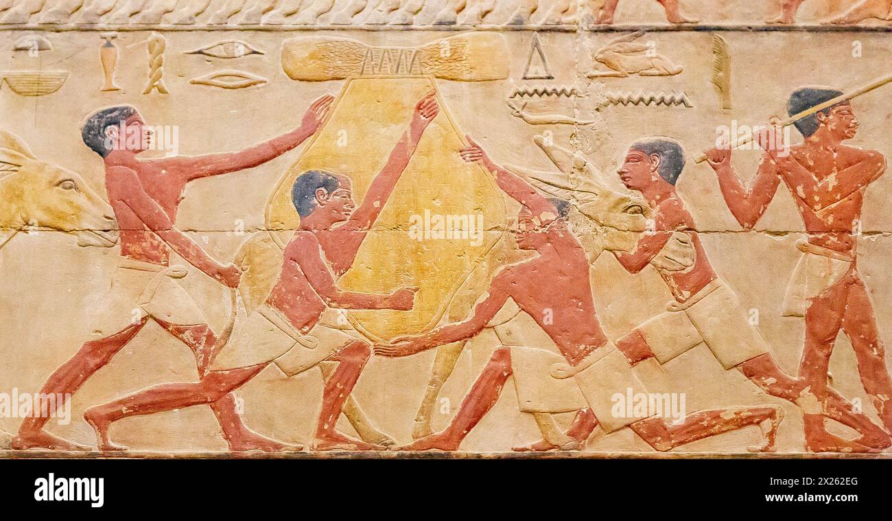 Ägypten, Sakkara, Grab von Ty, Landwirtschaft: Legen und pflegen Sie einen großen Getreidesack auf den Eselrücken. Stockfoto