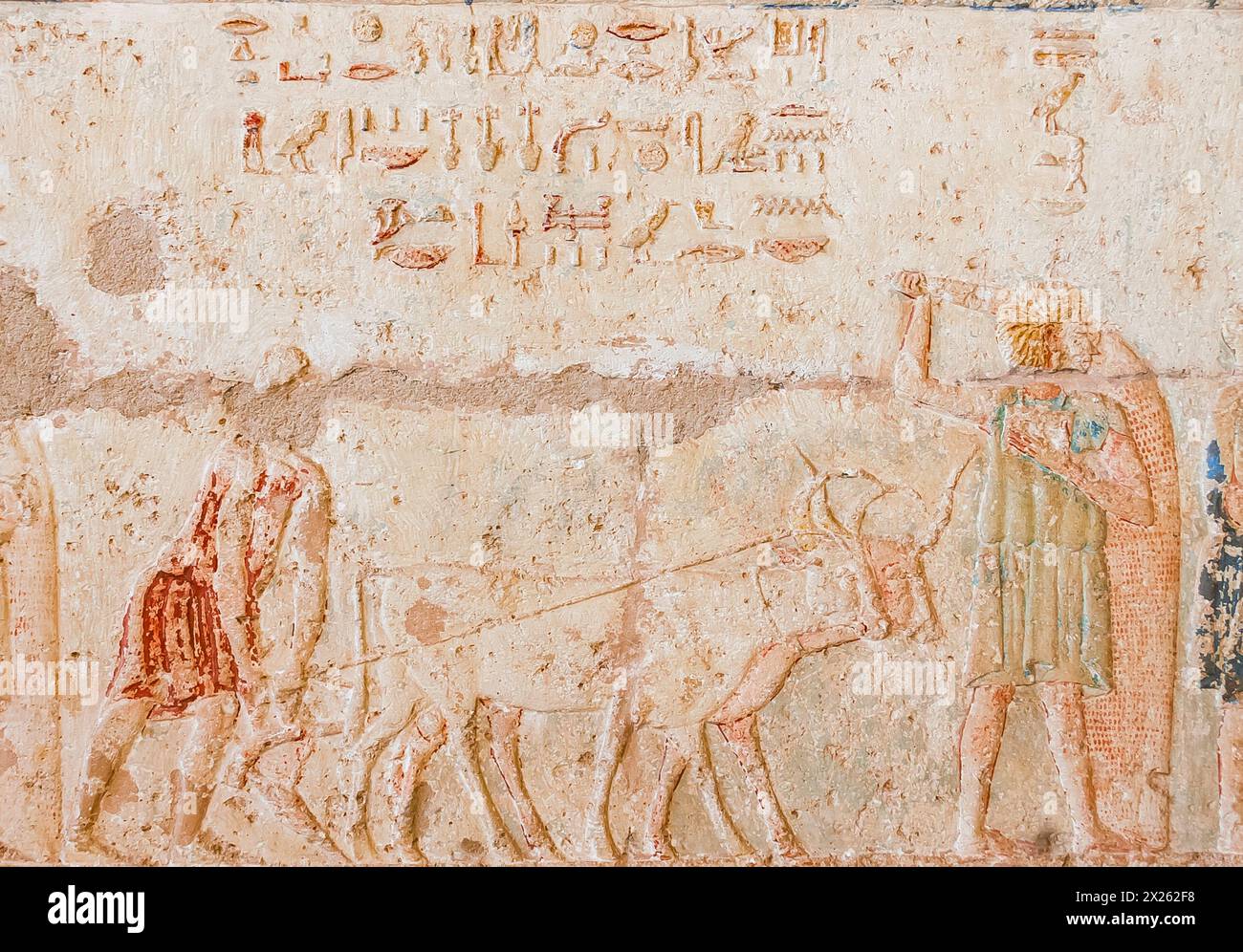 Ägypten, Thunfisch el Gebel, Grab von Petosiris, landwirtschaftliche Szene : Getreide säen und pflügen. Stockfoto