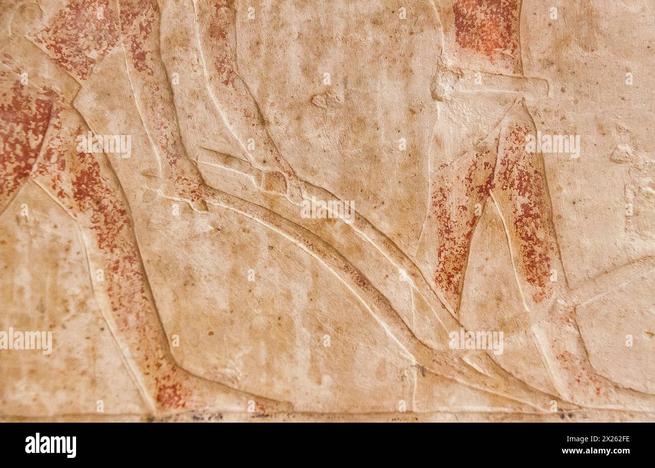 Ägypten, Sakkara, Grabmal von NiankhKhnum und KhnumHotep, Landwirtschaftsszene : Pflügen, um Getreidekörner zu bedecken. Stockfoto
