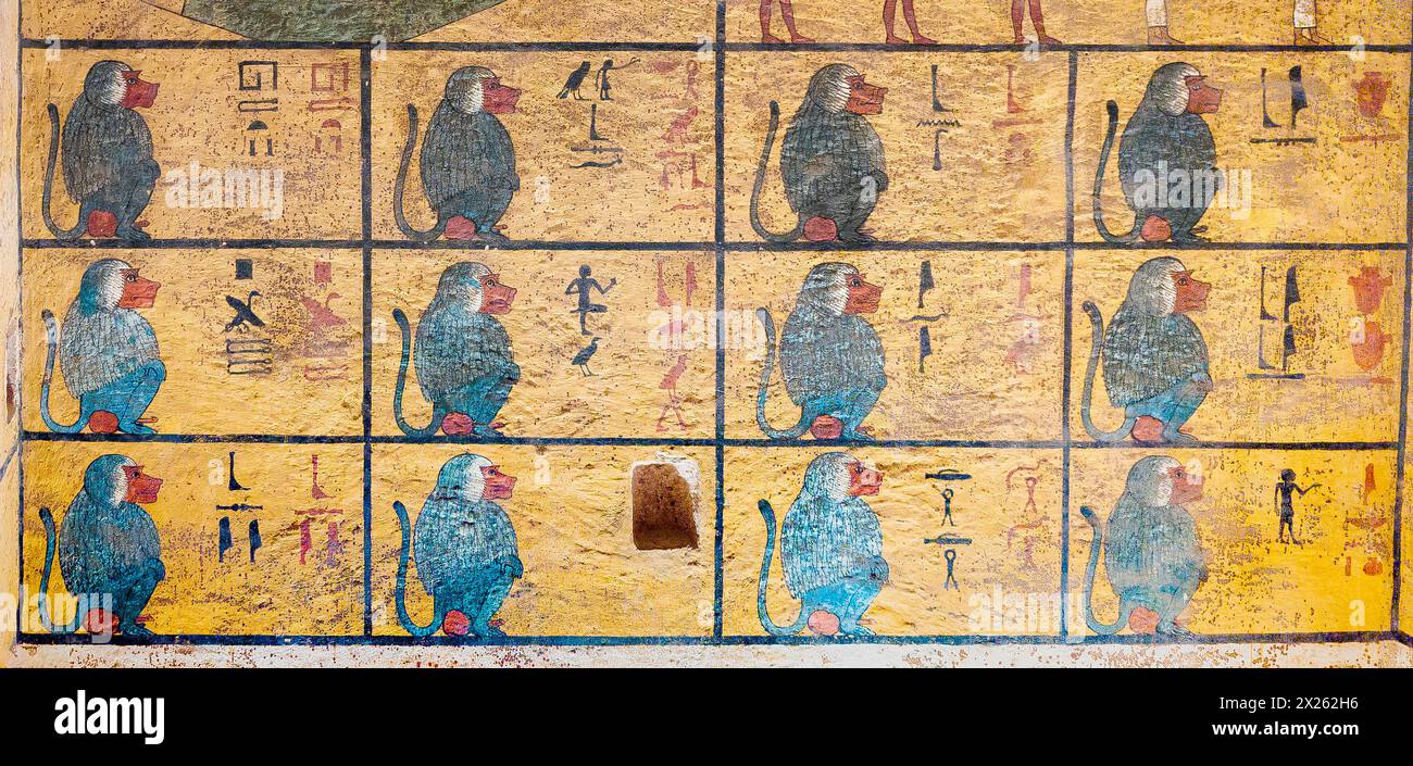 Ägypten, Luxor, Grab von Tutanchamun, Auszug aus der ersten Stunde des Amduat-Buches : Paviane, die die 12 Stunden der Nacht darstellen. Stockfoto