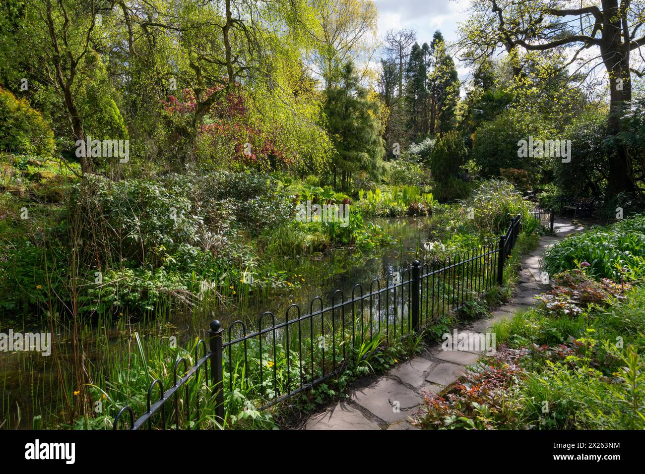 Fletcher Moss Botanical Gardens im Frühjahr, Didsbury, Greater Manchester, England. Stockfoto