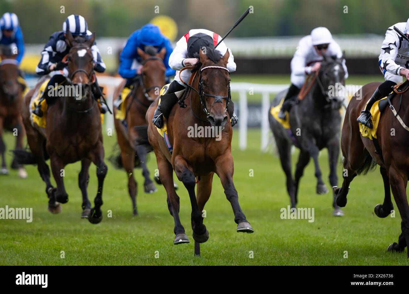 Hamish und Tom Marquand gewinnen die Gruppe 3 Dubai Duty Free Finest Surprise Stakes ( registriert als John Porter Stakes ) für Trainer William Haggas und Eigentümer B.Haggas. Credit JTW equine Images / Alamy Live News Stockfoto