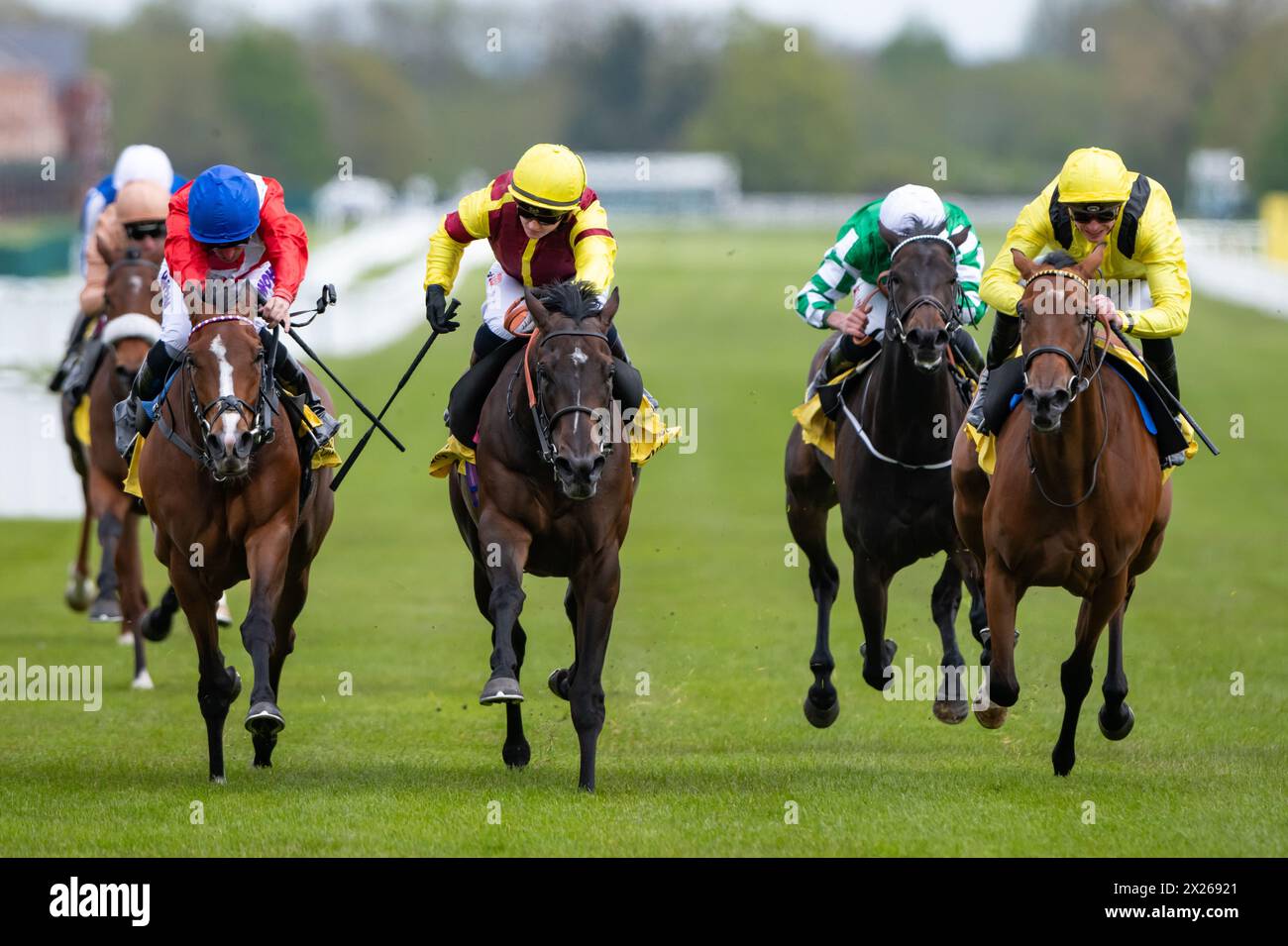 Folgaria und Hollie Doyle gewinnen die Dubai Duty Free Stakes (registriert als Fred Darling Stakes) Group 3 für Trainer Marco Botti und Eigentümer Scuderia SAGAM SRLS. Credit JTW equine Images / Alamy Live News Stockfoto