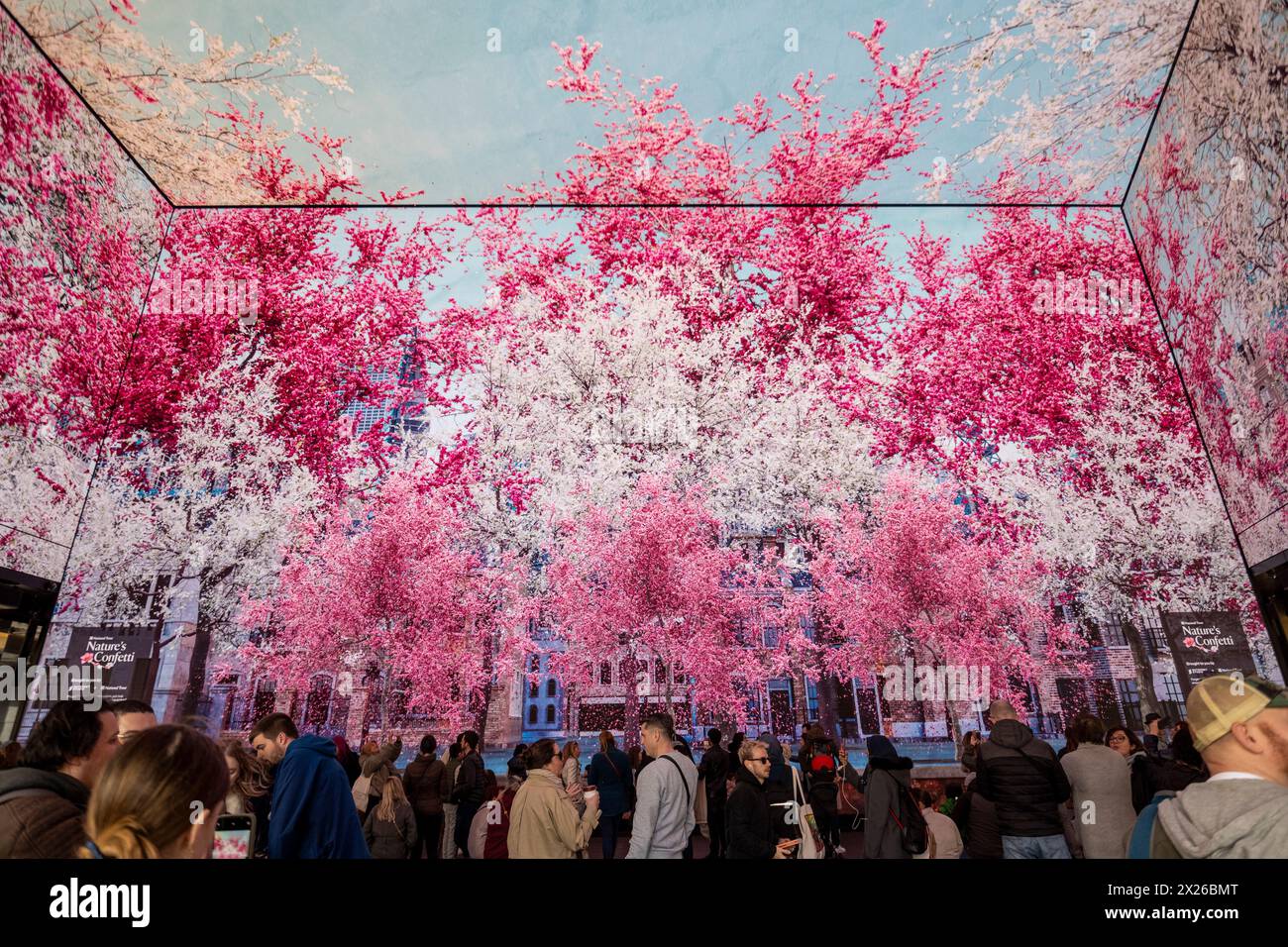London, Großbritannien. 20. April 2024. Die Öffentlichkeit sieht digitale Bildschirme, die Szenen des Frühlings und der Blüte in der Outernet Tottenham Court Road zeigen. Quelle: Stephen Chung / Alamy Live News Stockfoto