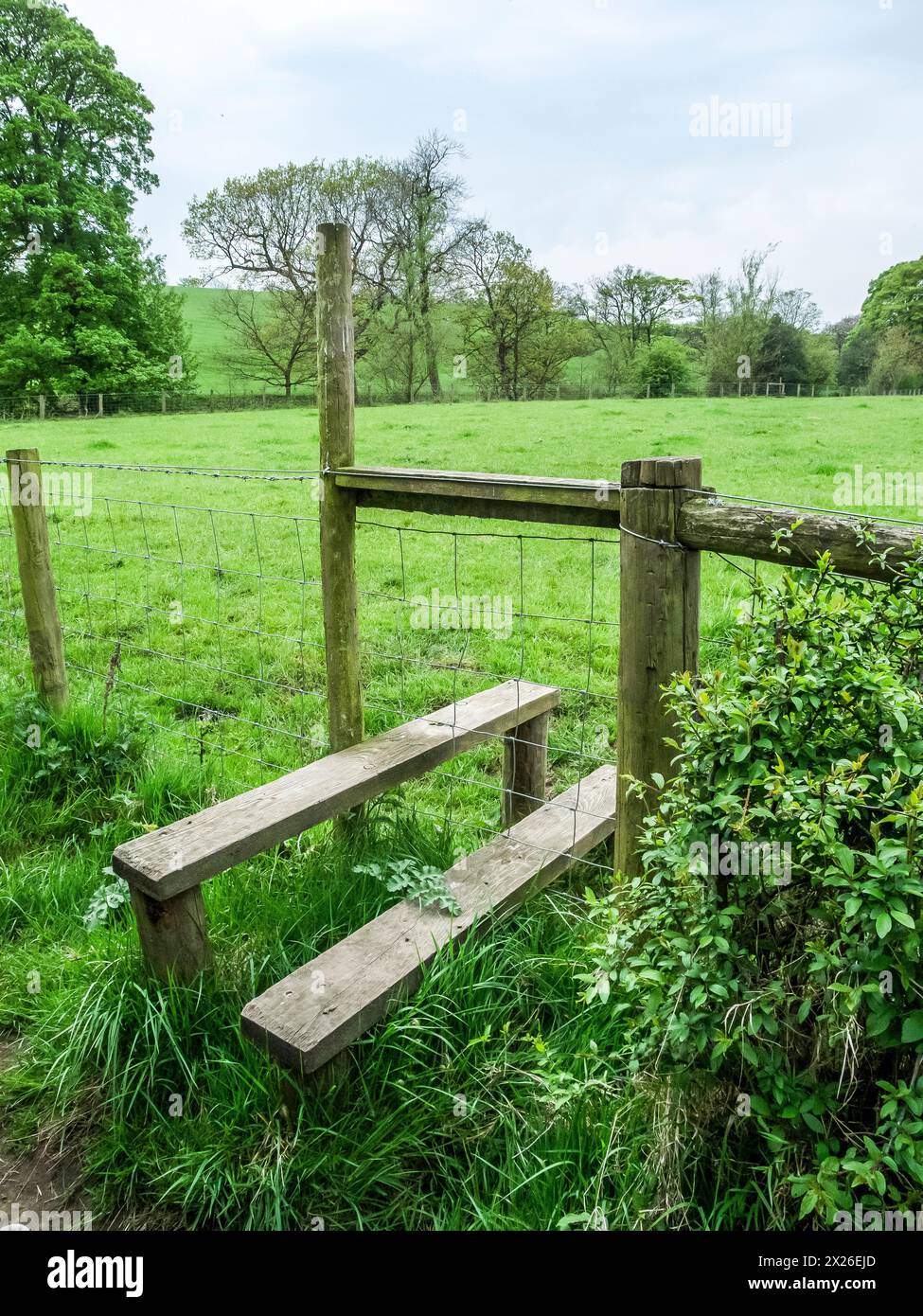 Das Bild zeigt einen offenen Stufenstiel aus dem Landzaun. Diese sind in Ordnung, solange Ihre Knie und Hüften in Ordnung sind, aber Sie haben keine Chance, kleine Kinder und Hunde über diesen Ständer zu bekommen, und beide erfordern, dass sie über den Ständer angehoben werden Stockfoto