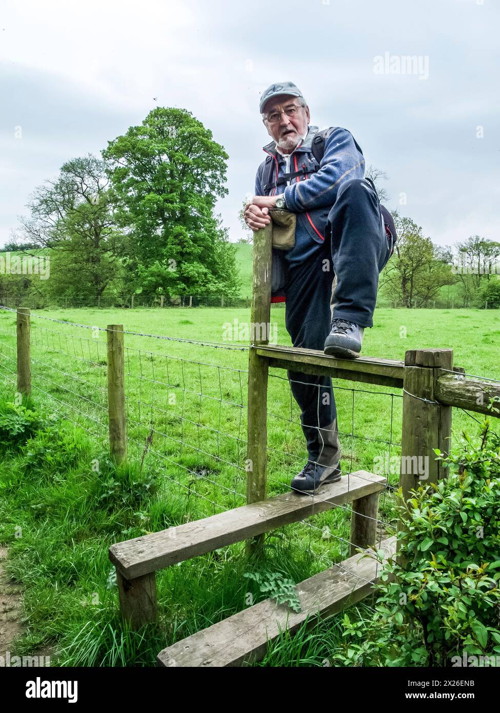 Das Bild zeigt einen offenen Stufenstiel aus dem Landzaun. Diese sind in Ordnung, solange Ihre Knie und Hüften in Ordnung sind, aber Sie haben keine Chance, kleine Kinder und Hunde über diesen Ständer zu bekommen, und beide erfordern, dass sie über den Ständer angehoben werden Stockfoto