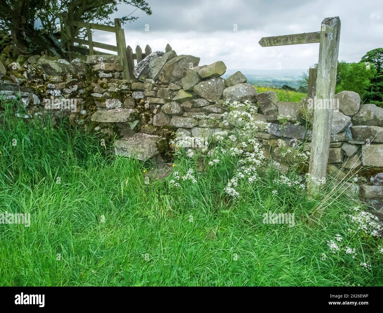 Das Bild ist von einem qualitätsgekennzeichneten, abgestuften Wandstiel Stockfoto